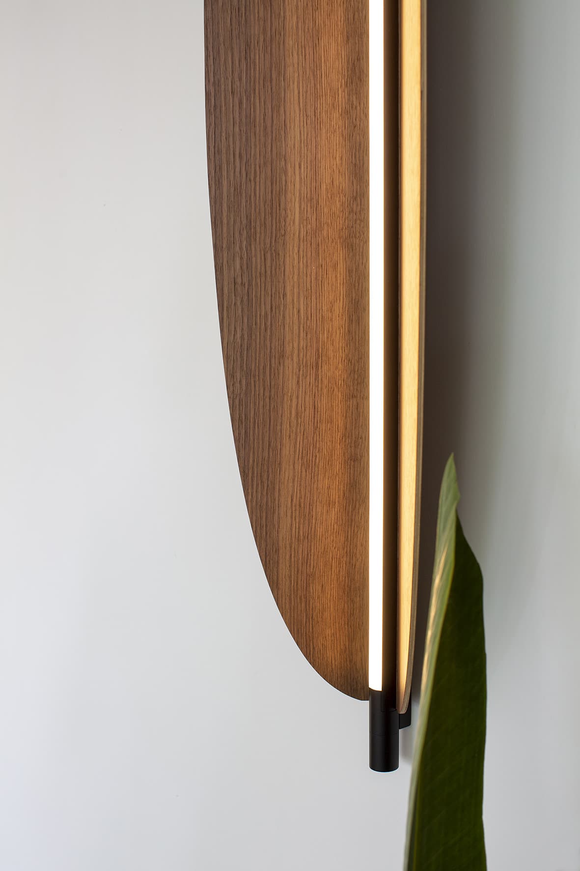 TOOY Thula 562.41 ścienna/sufitowa LED (Model z ekspozycji (orzechowo-czarne))